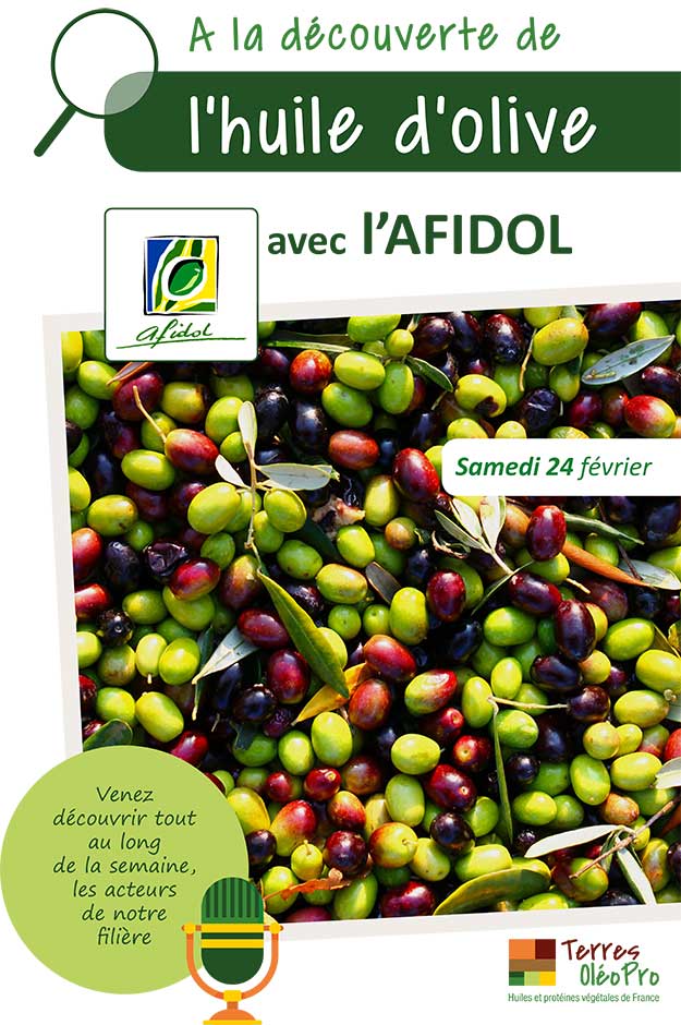 olive afidol